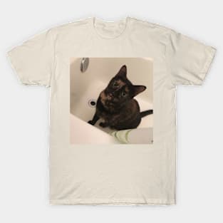 Bath Cat T-Shirt